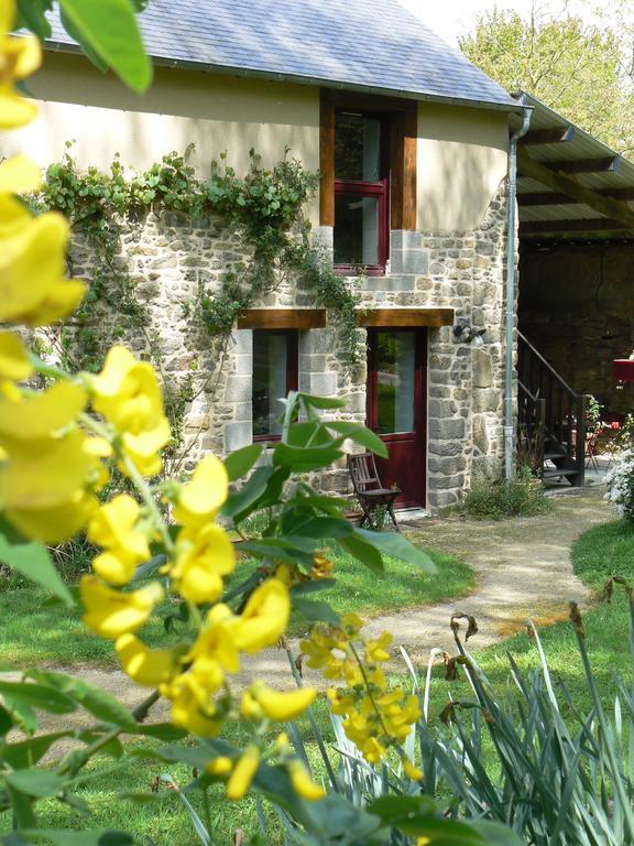 Chambres D'Hotes Du Vault Picot La Chapelle-aux-Filzméens Eksteriør bilde